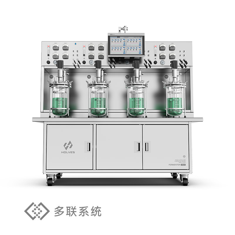 Hub240系列一體式多聯發(fā)酵罐
